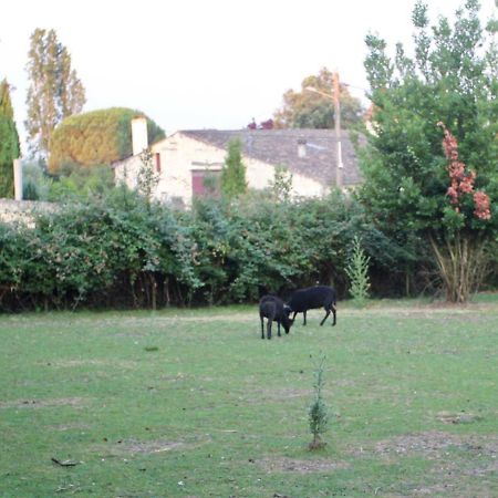 Отель Le Clos Du Gorion Saint-Sulpice-et-Cameyrac Экстерьер фото